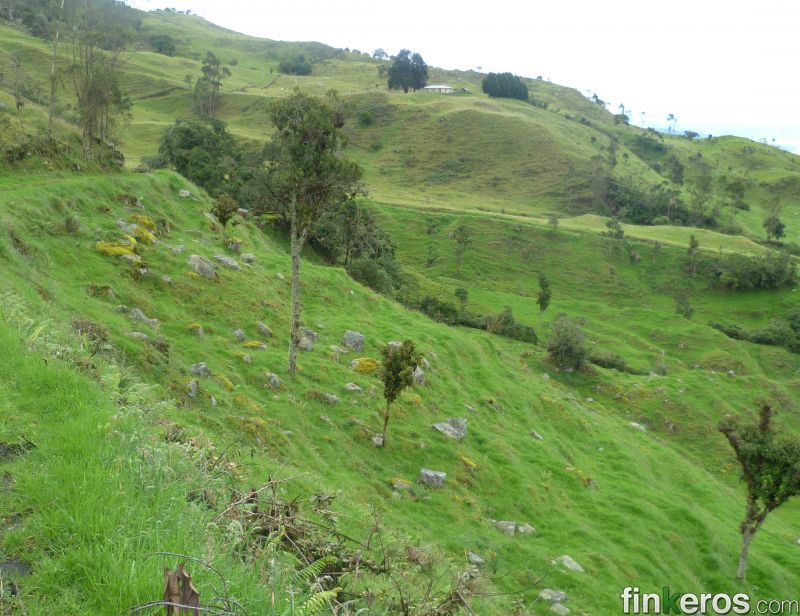 Finca en Venta en La Vega, Cundinamarca Venta de Fincas